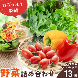 【ふるさと納税】サラ詰め合わせセット 野菜13個 サラトリオ 3個 プラムトマト 5個 フルーツパプリカ 5個 野菜 レタス 3種のレタス トマト パプリカ 《30日以内に出荷予定(土日祝を除く)》 笠岡アグリセンター 野菜 岡山県 笠岡市
