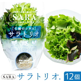 【ふるさと納税】サラトリオ 12個セット 野菜 レタス 3種のレタス グリーンオーク レッドオーク グリーンクリスピー 《30日以内に出荷予定(土日祝を除く)》 JA晴れの国岡山 笠岡アグリセンター 野菜 岡山県 笠岡市