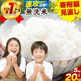 【ふるさと納税】【総合ランキング1位獲得】【速攻出荷！】 無洗米 米 5kg 10kg 15kg 20kg 晴れの国おかやま無洗米 個包装 こめ 岡山県産 10kg 米 20kg 米 無洗米 米 無洗米 10kg 無洗米 5kg 無洗米 小分け 《7-14営業日以内に出荷(土日祝除く))