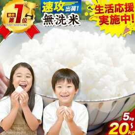 【ふるさと納税】米【総合ランキング1位獲得】【速攻出荷】 無洗 米 5kg 10kg 15kg 20kg 晴れの国おかやま無洗米 個包装 こめ 岡山県産 小分け《7-14営業日以内に出荷(土日祝除く))