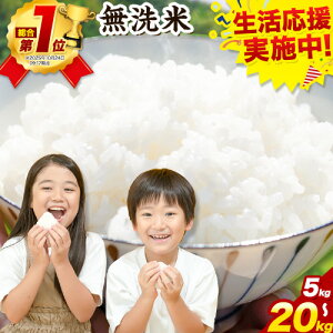 【ふるさと納税】総合1位獲得! 【生活応援企画 実施中!】 高レビュー! 晴れの国おかやま無洗米 5kg 10kg 15kg 20kg 《出荷時期をお選びください》 訳あり 無洗米 米 コメ こめ 岡山県産 米 ふ