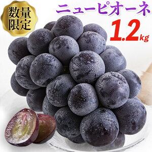 yӂ邳Ɣ[ŁzRY j[sI[l 1.2kg or 600g 2[ 1[s9{-11{o(yj)tR }s  ʕ Gi XC[c t[c fU[g H{