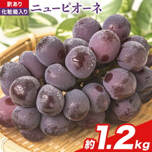 yӂ邳Ɣ[Łzys\zRY j[sI[l Iׂ 600g(1[) 1.2kg(2[)s9{-11{o(yj)tR }s  ʕ H{ 󂠂 Di Io XC[c t