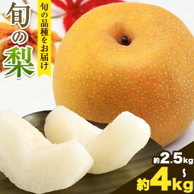 【ふるさと納税】 【先行予約】秀品 岡山県産 旬の 梨 約2.5kg 2~6玉前後 約4kg 3〜10玉前後 梨 秀品 新高 愛宕 スイーツ フルーツ デザート 旬 岡山県 笠岡市《9月上旬-1月末頃に出荷予定》