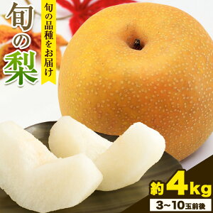 yӂ邳Ɣ[Łz ys\zGi RY {  2.5kg 2~6ʑO 4kg 3`10ʑO  Gi V  XC[c t[c fU[g { R }ss9{-1ɏoח\t