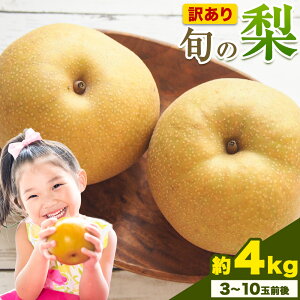 yӂ邳Ɣ[Łzys\z󂠂 {̗ 1.8kg 2~6ʑO 4kg 3`10ʑO RY  󂠂 V  H  R }ss9{-1ɏoח\tʌ  Ȃ iV
