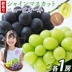 yӂ邳Ɣ[ŁzRY j[sI[l VC}XJbg Ԃǂlߍ킹 lߍ킹 1.2kg 2[  ʕ 󂠂 Di Io XC[c t[c fU[g R }ss9