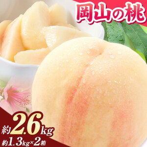 yӂ邳Ɣ[Łzys\z R̓ R 750g 1kg 2.6kgs2026N6{-9{oׁt ƒp 󂠂  R  ͂Ƃ XC[c t[c ʕ fU[g {  