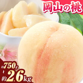 【ふるさと納税】【先行予約】桃 岡山の桃 岡山黄桃 約750g 約1kg 約2.6kg《2025年6月下旬-9月上旬頃出荷》 ご家庭用 訳あり 白桃 岡山 黄桃 はくとう スイーツ フルーツ 果物 デザート 旬 モモ もも 先行予約 送料無料 果物 岡山県 笠岡市 清水白桃 白鳳 白麗 クール便