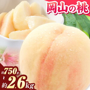 yӂ邳Ɣ[Łzys\z R̓ R 750g 1kg 2.6kgs2026N6{-9{oׁt ƒp 󂠂  R  ͂Ƃ XC[c t[c ʕ fU[g {  
