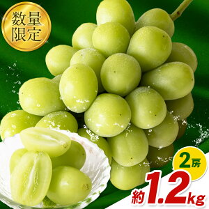 yӂ邳Ɣ[ŁzGi VC}XJbg R H{ ʌ 嗱 600g or 1.2kg 1[ 2[ Yn  ʕ Gi XC[c t[c fU[g R }s ȈՕ s9{`11{