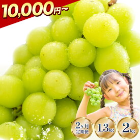 【ふるさと納税】 】 ＼ 9月のオススメ！ ／ 土日着で受け取り安心 シャインマスカット 約650g 約1.3kg 約2kg 2ヶ月定期便 おすそわけにもピッタリ 限定500g 《9月上旬-11月中旬頃出荷》 厳選 ぶどう 葡萄 ブドウ マスカット 果物 フルーツ 岡山県 笠岡市 訳あり 大粒