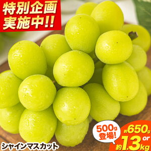 yӂ邳Ɣ[Łz yoIz VC}XJbg R 650g 1[ 1.3kg 2[ I { Ԃǂ uhE   }XJbg ʕ t[c Mtg R }s 󂠂 N[ u