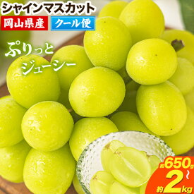 【ふるさと納税】 】【限定企画が登場！】 【2026年予約 受付中！】シャインマスカット 岡山 約650g 1房 約1.3kg 2-3房 約2kg 3-4房 厳選 旬 ぶどう ブドウ 葡萄 マスカット 果物 フルーツ 岡山県 笠岡市《9月上旬-11月中旬頃出荷》