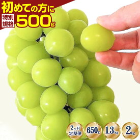 【ふるさと納税】 】 限定500g 新登場！ シャインマスカット 約650g 1房 約1.3kg 2-3房 約2kg 3-4房 2ヶ月定期便 《9月上旬-11月中旬頃出荷》 シャインマスカット 厳選 ぶどう ブドウ 葡萄 マスカット 果物 フルーツ 岡山県 笠岡市 先行予約 訳あり 大粒 スイーツ