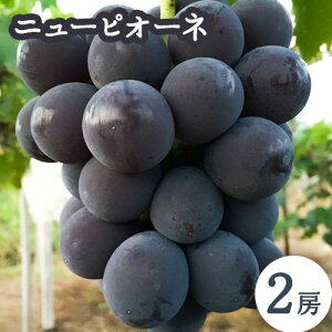 yӂ邳Ɣ[Łzys\zj[sI[l2[s2026N8-9{oׁtR }s Ίە_ 嗱 햳 ʓ ̂ { Ԃǂ  t[c ʕ R