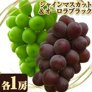 yӂ邳Ɣ[Łzys\zVC}XJbg I[ubN 2[s2026N9{-9{oׁtR }s Ίە_ lߍ킹 Zbg 嗱 햳 ʓ ̂ { }XJ