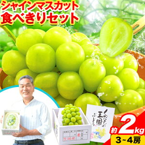 【ふるさと納税】【先行予約】 シャインマスカット マスカット 約2kg《2026年9月上旬頃より発送予定》 食べ切りセット 数量限定 先行予約 シャイン マスカット 岡山 岡山県産 果物 フルーツ