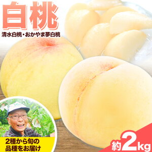 �y�ӂ邳�Ɣ[�Łz �y��s�\��z�� ���R ��2kg 6�`8�� ���� ���R���Y ���R�̓� ������ܖ����� �������� ���܂��� �u�����h�� �{ �ʕ� �t���[�c �Â� ��s�\�� �s7�����{-8����{���o�ׁt�m�Ȕ_