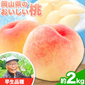 �y�ӂ邳�Ɣ[�Łz�y��s�\��z�y6�����{-7����{���o�ׁz�y7�����{�]8����{���o�ׁz�m�Ȕ_�� ���e���I�ׂ� �� 2kg ���� ���R �͂Ȃ�� ���씒�P ���P �g���� �悵�P �Ȃ��Ƃ� �쒆������ 