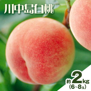 �y�ӂ邳�Ɣ[�Łz�y��s�\��z���� �� �쒆������ 2kg 6�`8�ʏ����_���s7�����{-8����{���o�ׁt ���R�� �}���s ���R���Y ���� ���� �ʕ� �t���[�c ��s�\��