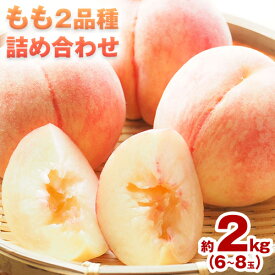【ふるさと納税】【先行予約】もも 桃 2品種詰め合わせセット 川中島白桃 白麗 サンゴールド 黄金桃 恵白 いずれか2品種をお届け 2kg 6〜8玉 小寺農園《2025年7月下旬-8月中旬頃出荷》 岡山県 笠岡市 岡山県産 白桃 黄桃 モモ 果物 フルーツ 先行予約