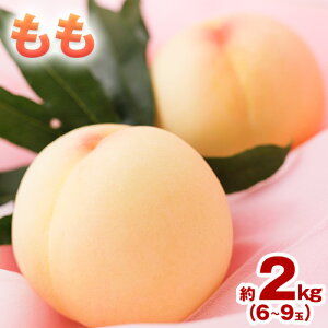 �y�ӂ邳�Ɣ[�Łz�y��s�\��z���� �� �i�b���E����E���I�E���c �j�����ꂩ1�i������͂� 2kg 6�`9�� �����_���s8����{-8���{���o�ׁt ���R�� �}���s ���R���Y ���� �b�� ���� ���I ���c ��