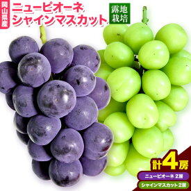 【ふるさと納税】岡山県産ニューピオーネ＆シャインマスカット「晴王」 選べる 1房 2房 （1房580g以上） （令和8年産先行受付）《2026年9月上旬-10月下旬頃出荷》【配送不可地域あり】