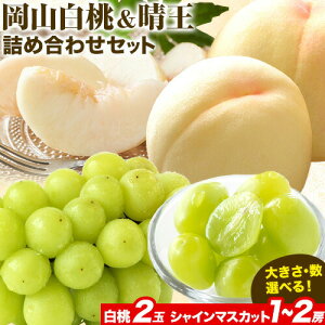 yӂ邳Ɣ[Łzys\zR & VC}XJbgijZbg Iׂ TCY  LЃz[eBJ`[_s7{-8{oׁtR }s    R