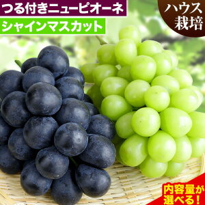 yӂ邳Ɣ[Łzys\zRY tIj[sI[l & VC}XJbg Zbg nEX͔| eʂIׂ LЃz[eBJ`[_s7{-8{oׁt