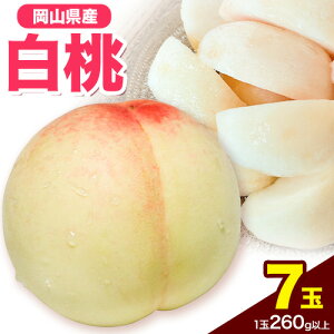 yӂ邳Ɣ[Łzst RY i1ʁ@220gȏ8ʓ胍Cjߘa8NY s2026N7{-8{oׁt yzsn悠z