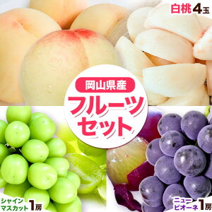 【ふるさと納税】岡山白桃(桃4玉ロイヤル1玉220g以上)&ピオーネ(1房580g以上)&シャインマスカット(1房580g以上)詰合せ 令和8年産先行受付 《2026年7月上旬-8月中旬頃出荷》【配送不可地