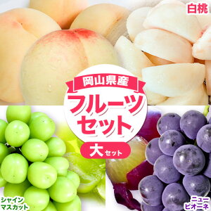 yӂ邳Ɣ[ŁzRi4 ܂ 2ʁj&sI[li580g ܂ 380gj&VC}XJbgi580g ܂ 380gj l Iׂ Zbg Zbg ߘa8NYst s2026N7{-8{