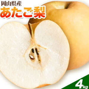 �y�ӂ邳�Ɣ[�Łz �y��s�\��z���R���Y ���������@�I�ׂ���e�� ���2����i1�� 950g�ȏ�) 3kg 4kg �ߘa8�N�Y �s2026�N11�����{-12���{���o�ׁt�y�z���s�n�悠��z