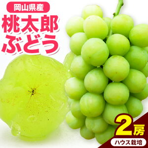 yӂ邳Ɣ[ŁzRYYԂǂ Iׂ 1[i680gȏj 2[i480gȏjIn͔| nEX͔| st s2026N7{]8{oׁtyzsn悠z