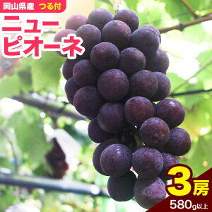 yӂ邳Ɣ[ŁzRYj[sI[l t Iׂ 1[i680gȏj 2[i580gȏj 3[i580gȏj ߘa8NYst s2026N9{-10{oׁt yzsn悠z