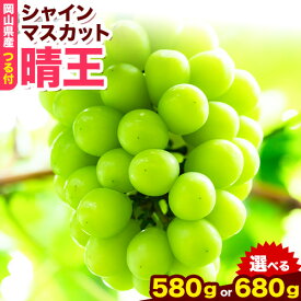 【ふるさと納税】岡山県産シャインマスカット（晴王）（1房580g以上　2房入り）（令和8年産先行受付） 《2026年9月上旬-10月下旬頃出荷》 葡萄 ぶどう ブドウ マスカット シャインマスカット 種無し フルーツ 獲れたて【配送不可地域あり】