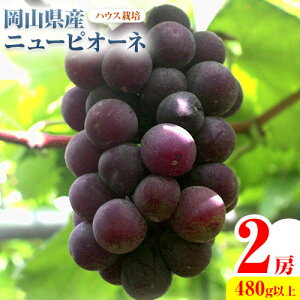 yӂ邳Ɣ[Łzys\zRY j[sI[l 2[ 480gȏ nEX͔| LЃz[eBJ`[_s7{-8{oׁtR }s  ʕ Io XC[c t