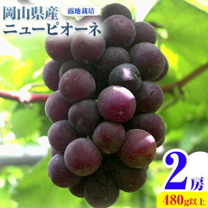 yӂ邳Ɣ[Łzys\z RY j[sI[l 2[ 480gȏ In͔| LЃz[eBJ`[_s9{-10{oׁtR }s  ʕ Io XC[c t