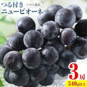 yӂ邳Ɣ[Łzys\z RY Iׂ tj[sI[l 2[ 540gȏ 3[ 540gȏ 1[ 680gȏ nEX͔| LЃz[eBJ`[_s7{-8{oׁt R 