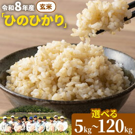 【ふるさと納税】【令和8年産 予約受付】玄米 岡山県産 ひのひかり 笠岡産 選べる 内容量 回数 5kg 10kg 20kg 30kg 60kg 90kg 120kg 《10月下旬より出荷開始予定》奥山営農 太陽の恵み O-16_玄米