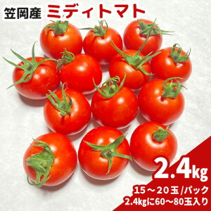 yӂ邳Ɣ[Łz}Y~fBg}g2.4kgiʌjg}g t[cg}g  c_s10{]6oׁt R }s RY g}g  }sY