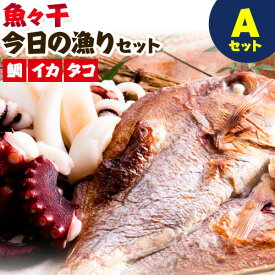 【ふるさと納税】A-135 魚々干 今日の漁りセット Aセット 灰干し 鯛 イカ タコ 特定非営利活動法人 かさおか島づくり海社《45日以内に出荷予定(土日祝除く)》岡山県 笠岡市 魚 さかな 干し おまかせ 詰め合わせ 天然魚介 魚介