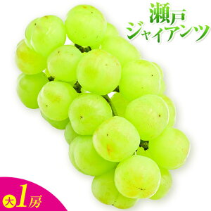 yӂ邳Ɣ[ŁzԂǂ  RY ˃WCAc 1[ (550g~600g) ܂ 1[ (750gȏ) Xؔ_ s8{-9oׁtR }s  }XJbg t[c ʕ u