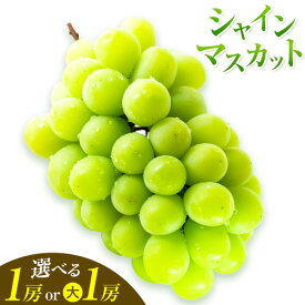 【ふるさと納税】ぶどう 葡萄 岡山県産 シャインマスカット 1房 (約550g~600g) または 大1房 (約700g以上) 佐々木農園《7月下旬-8月中旬頃出荷》岡山県 笠岡市 送料無料 マスカット フルーツ 果物 ブドウ お取り寄せフルーツ【配送不可地域あり】