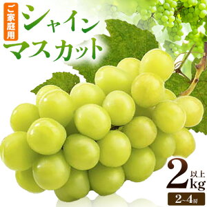 yӂ邳Ɣ[Łzy2026Ns\zԂǂ VC}XJbg ƒp ̍̑蕨 VC}XJbg 2kg ȏ 2[ ` 4[s2026N9{-10{oׁt R_ uhE