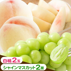 yӂ邳Ɣ[Łz Ԃǂ l R 2(1220gȏ) VC}XJbg  2[(1[480gȏ) ϔ ЎRs2026N7{-8{oׁtR }s t[c ʕ 