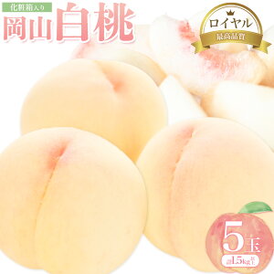 yӂ邳Ɣ[ŁzR 5 (1.5kgȏ) C ϔ ЎR ({)s2026N7{]8{oׁtR }s   t[c { ʕ Y RY 