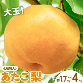 【ふるさと納税】【2026年発送先行予約】あたご梨 選べる内容量 約1.7kg (2玉) 約4kg (3-6玉) 化粧箱入り 株式会社山博《2026年11月下旬-12月下旬頃出荷》岡山県 笠岡市 なし 梨 ナシ 愛宕梨 果物 大玉 岡山県産 国産 送料無料【配送不可地域あり】