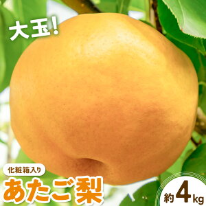 yӂ邳Ɣ[Łz Iׂe 1.7kg (2) 4kg (3-6) ϔ ЎRs11{-12{oׁtR }s Ȃ  iV  ʕ  RY Y 